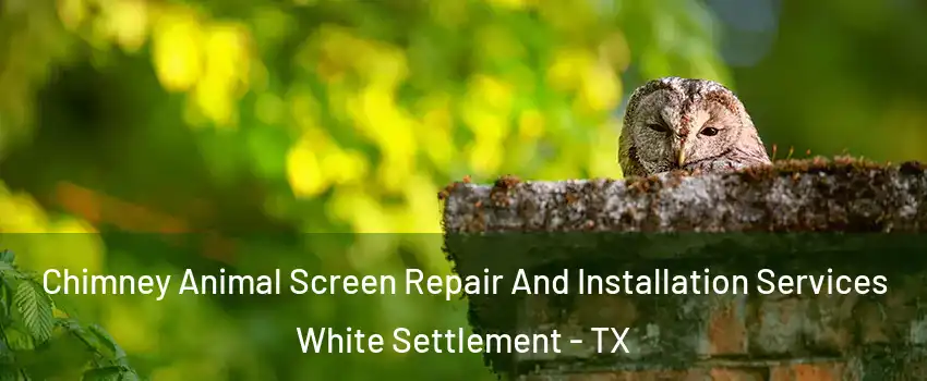  Chimney Animal Screen Repair And Installation Services White Settlement - TX