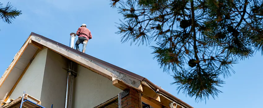 Birds Removal Contractors from Chimney in White Settlement, TX