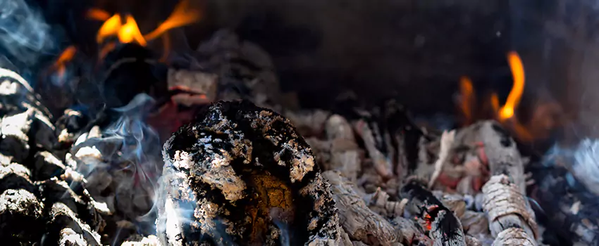 Creosote Removal Experts in White Settlement, TX