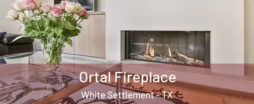  Ortal Fireplace White Settlement - TX